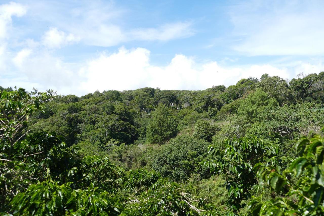 Casitas Vista Verde Bajo Boquete Buitenkant foto
