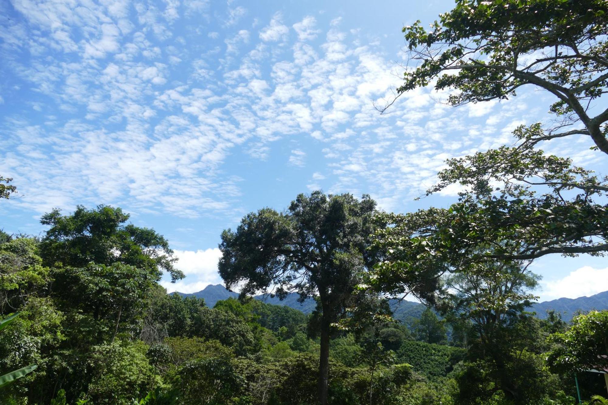 Casitas Vista Verde Bajo Boquete Buitenkant foto